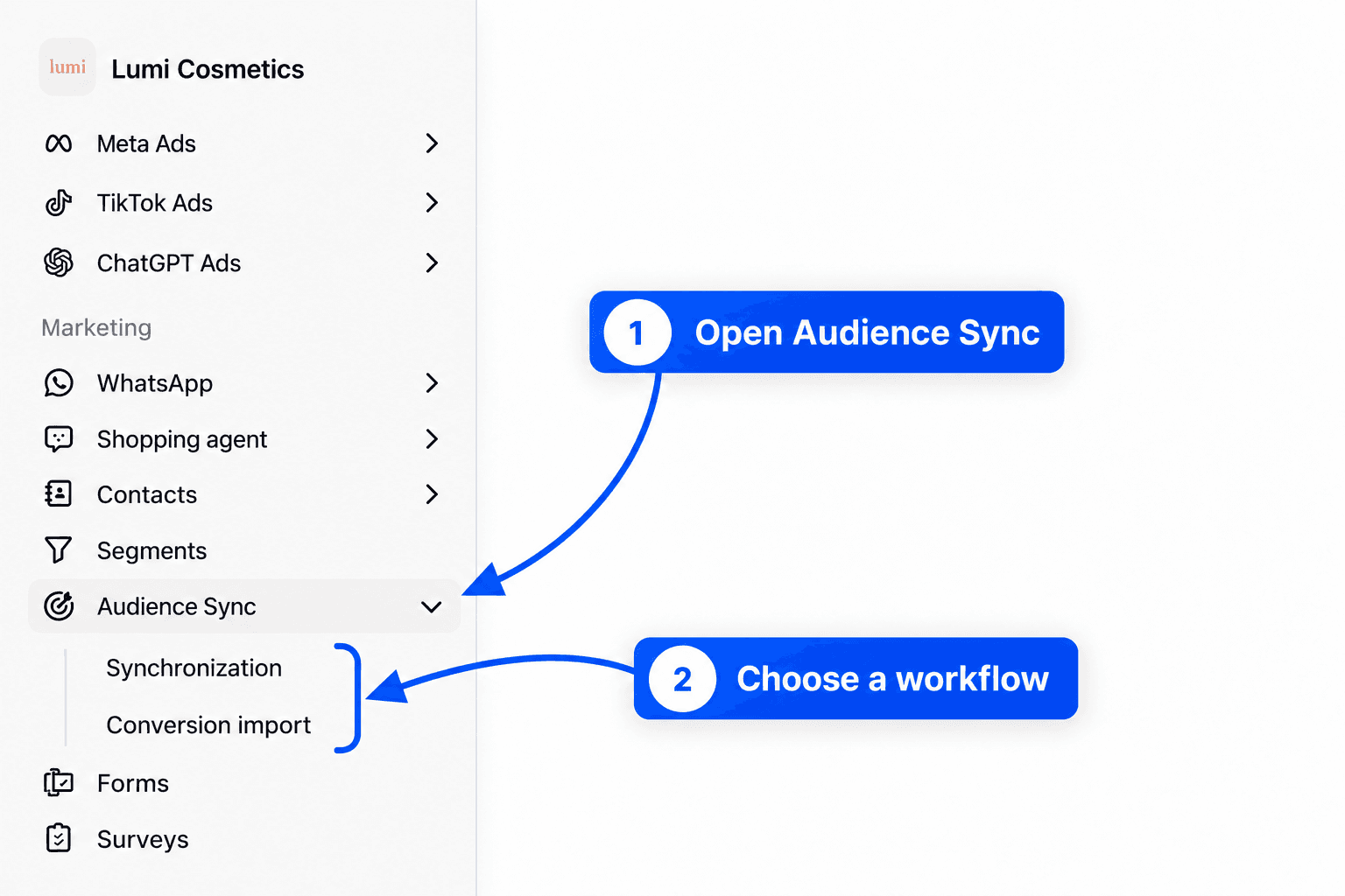 Sidebar with the Marketing group open and Audience Sync expanded, showing Synchronization and Conversion import, both entries highlighted